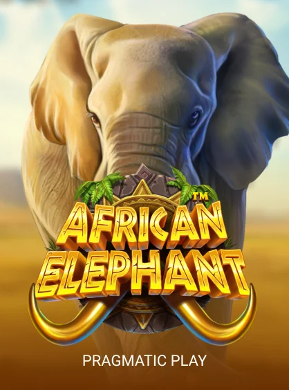 African Elephant